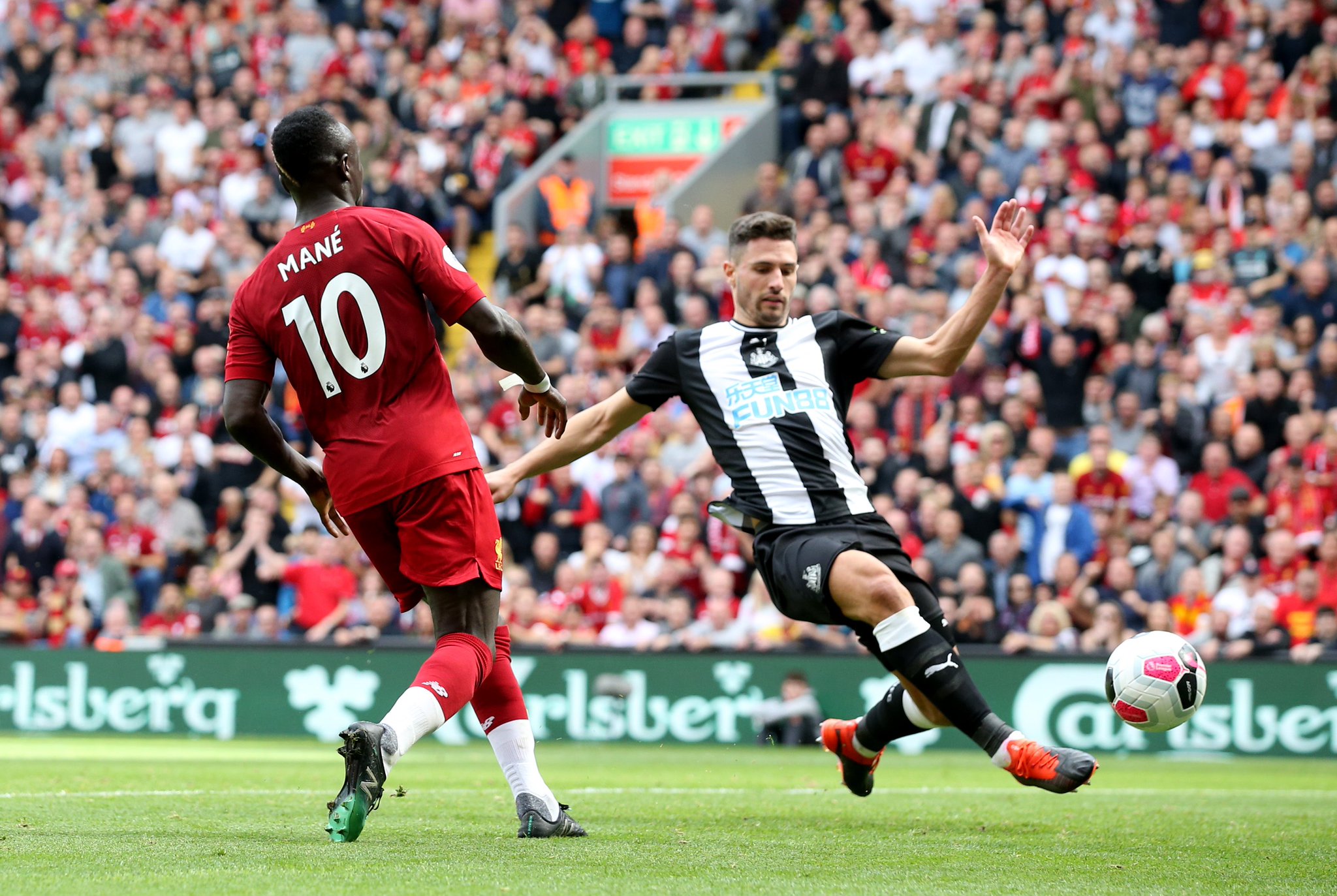 因为他们对 因为他们对